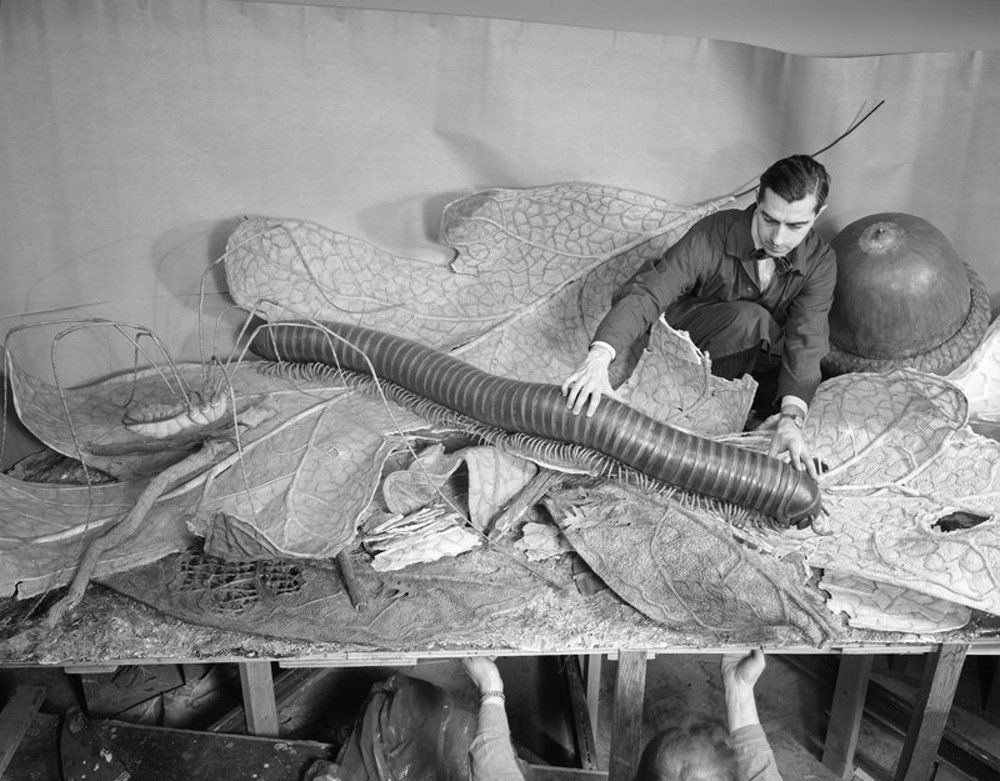 "Installing models for the Forest Floor exhibit, 1958"